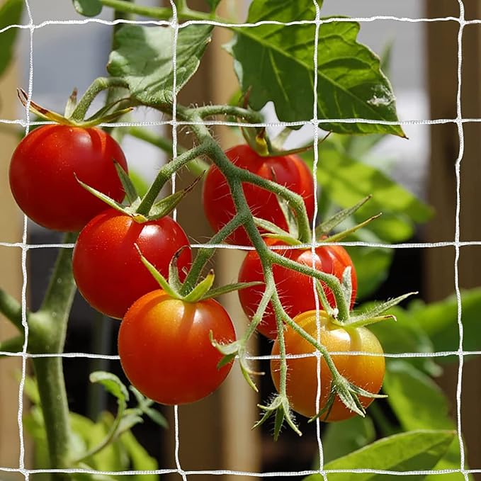 Tcamp Heavy-Duty Polyester Plant Trellis Netting 5 x 30ft (1 Pack) (5 Ft X 30 Ft)