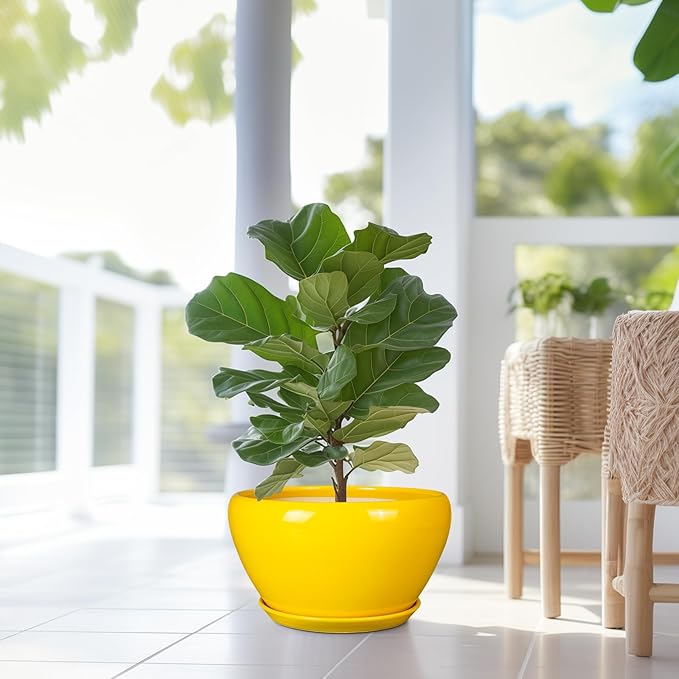 Ceramic Planter for Indoor Plants - 13 Inch Mid-Century Decorative Modern Large Plant Pot with Drainage Hole and Saucer, Home Balcony House Garden Patio Room Office Decor, Yellow
