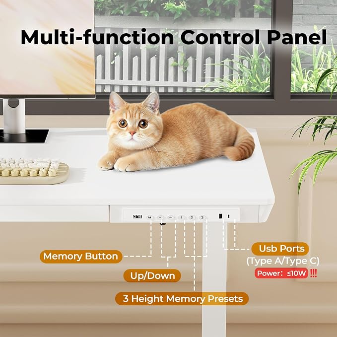 40" Electric Stand up Desk with Drawer, Height Adjustable | Sit Stand Home Office Desk with Storage, One-Piece Tabletop with USB Charging Ports, Quick Assembly Computer Desk on Wheels