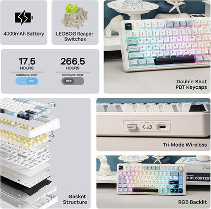 EPOMAKER x Aula F75 Gasket Mechanical Keyboard, 75% Wireless Hot Swappable Gaming Keyboard with Five-Layer Padding&Knob, BT/2.4GHz/USB-C, RGB (Light Blue, Ice Vein Switch)