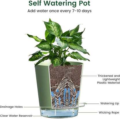 4 inch Self Watering Pots for Indoor Plants, 5 Pack Small Flower Plant Pots with Drainage Holes and Clear Reservoirs, Visible Water Level, Plastic Planters with Wicking Rope, Green