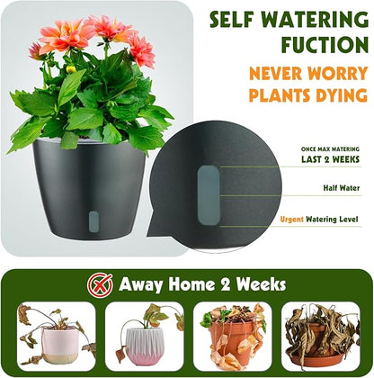 Self Watering Pots for Indoor Plants, 6-Pack 5'' Self Watering Planter with Drainage Holes, Small African Violet Pots with Water Indicator, Clear Wick Orchid Pot, Grey