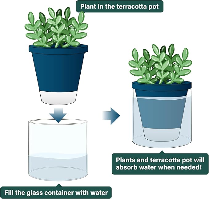 D'vine Dev 4 Inch Design Self Watering Planter for Indoor Plants, Blue Terracotta Pot with Cylinder Glass Cup, Set of 2, 37-Y-A-4