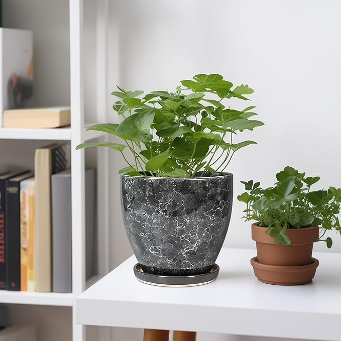 6.3 Inch Plant Pot - Ceramic Planter for Indoor with Drainage Hole and Saucer, Round Succulent Pot, Modern Flower Planters, Home Room Garden Office Decor, Gardening Gifts for Women, Grey