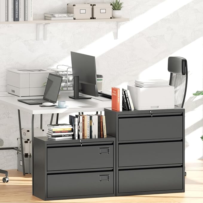Greenvelly 2 Drawer Filing Cabinet, Black Lateral File Cabinet with Lock, Metal File Cabinets with Adjustable Hanging Bars&2 Keys, Locking File Cabinet for Home Office, Legal/F4/Letter, Etc