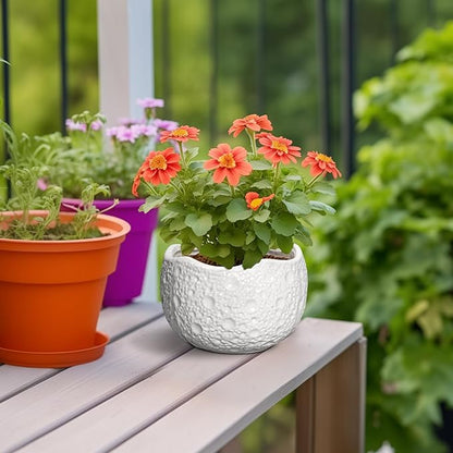 Ceramic Pots for Plants - 6 Inch Plant Pot for Indoor Outdoor, Decorative Orchid Pots with Drainage Hole, Unique Round Modern Planters, Home Decor, Gifts for Plant Lovers, White