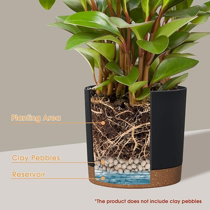 kubvici Plant Pots for Indoor Plants, 2 Pack 8 Inch Plastic Flower Pot Planters with Drainage Saucer for Indoor Outdoor Garden Home (8” Black)