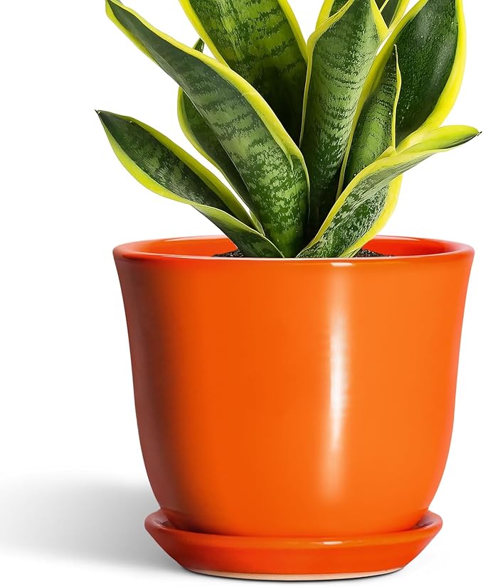 Ceramic Planter - 8 Inch Plant Pot with Drainage Hole and Saucer, Modern Planters for Indoor Outdoor Plants, Round Flower Pot, Home Patio Office Decor, House Warming Gifts, Orange