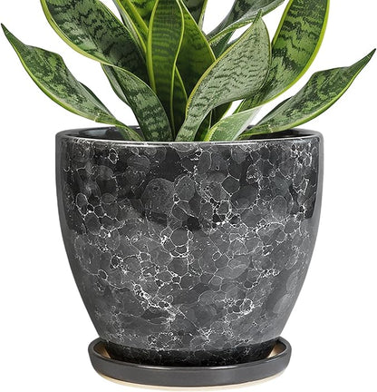 6.3 Inch Plant Pot - Ceramic Planter for Indoor with Drainage Hole and Saucer, Round Succulent Pot, Modern Flower Planters, Home Room Garden Office Decor, Gardening Gifts for Women, Grey