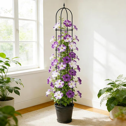 Garden Obelisk Trellis for Climbing Plants - 6.7FT Tall Weather-Resistant Rustproof Metal Plant Flower Support for Roses, Clematis, Tomatoes & Vines, Indoor/Outdoor Use, 11.8”D (2 Pack)