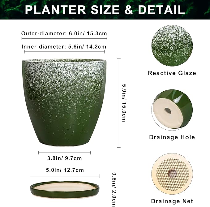 6 Inch Plant Pot - Ceramic Plant Pots with Drainage Hole and Saucer, Ceramic Planter for Indoor Outdoor Plants, Round Modern Planter, Room House Decor, Gifts for Women Men, Green