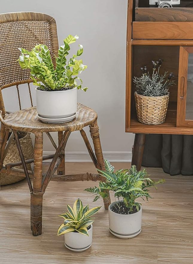 LE TAUCI Ceramic Plant Pots, 4.3+5.3+6.8 inch, Set of 3, Planters with Drainage Hole and Saucer, Indoor Flower Pot with Hole Mesh Pad, Gifts for Mom, White