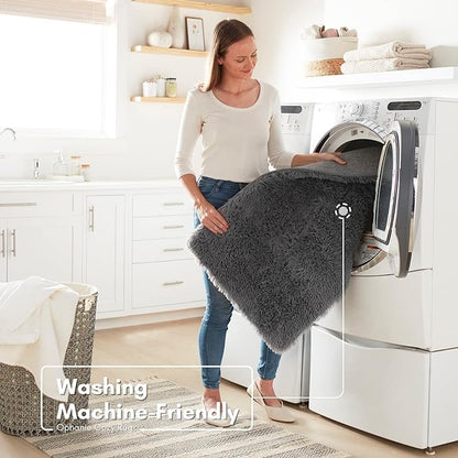 Ophanie Small Area Rug, 2x3 Machine Washable Throw Grey Cheap Fluffy Shaggy Soft Bedside Rug, Indoor Floor Gray Carpet for Kids Baby Boys Teen Dorm Room Doorway, Nursery,Home Decor Aesthetic