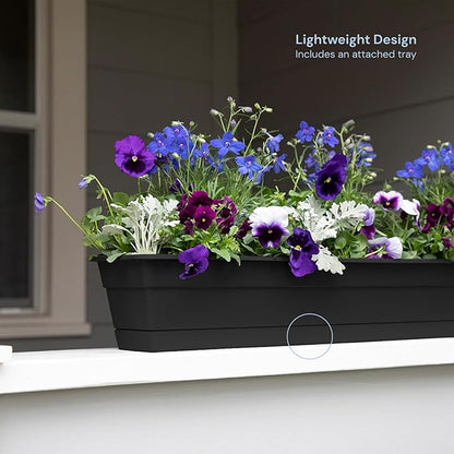 Bloem Dura Cotta Window Box Planter: 30" - Black - Large Box with Tray, Weatherproof Resin Box, Removable Tray for Indoor & Outdoor Use, Gardening, 4 Gallon Capacity