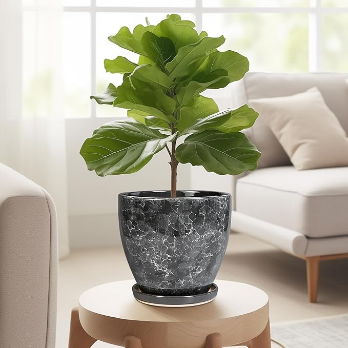 6.3 Inch Plant Pot - Ceramic Planter for Indoor with Drainage Hole and Saucer, Round Succulent Pot, Modern Flower Planters, Home Room Garden Office Decor, Gardening Gifts for Women, Grey