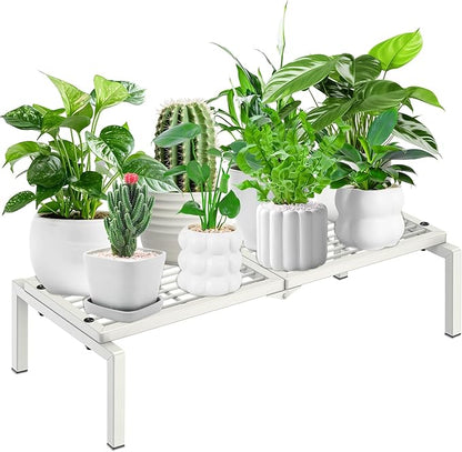 1 Tier Metal Plant Stand Indoor Outdoor, Potted Multiple Flower Pot Holder Rack Plant Shelf, Heavy Duty Planter Display Shelving for Patio Balcony Garden Living Room Decorative (White)