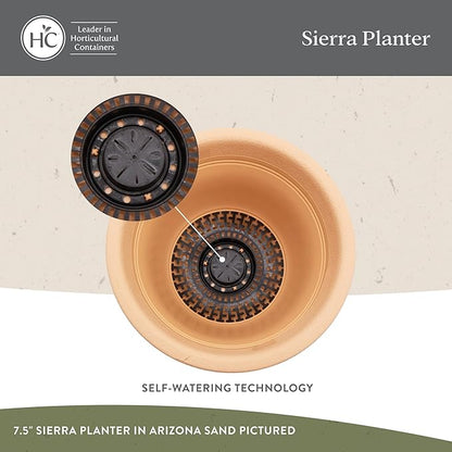 The HC Companies Sierra Round Self-Watering Pot - Lightweight Plastic Planter for Herbs & More - Durable Plant Pots for Indoor Plants & Outdoor Plants (16” Arizona Sand, Pack of 1)