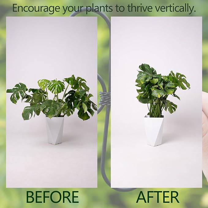 Black Monstera Plant Support 5.5IN 5PCS Premium Stem Support System for Indoor Plants, Durable Stabilizer for Monstera and Climbing Plants, Easy Installation Leaf Holder, Fishbone Cactus Stake