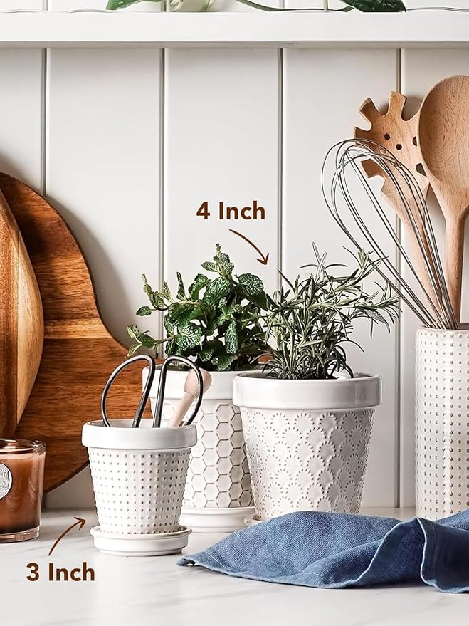 LE TAUCI Ceramic Succulent Pots, 4 Inch Small Plant Pot for Indoor Plant Cactus, Embossed Flower Pots with Drainage Hole & Saucer - Set of 4, Arctic White