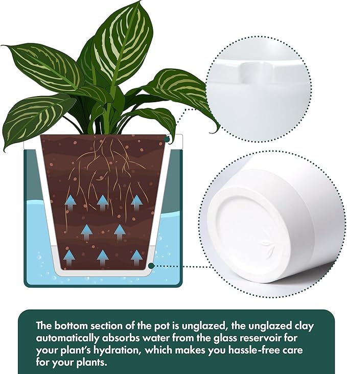 D'vine Dev 10 Inch Design Self Watering Planter for Indoor Plants, White Terracotta Pot with Teal Cylinder Glass Cup, 37-X-D-5