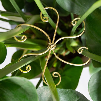 6.5IN Monstera Plant Support Hook 5PCS Durable Stem Stabilizer for Indoor Plants | Easy Setup 5-Piece Set Ideal for Turtle Shell Leaf Support Ideal Present for Plant Lovers & Home Garden Décor