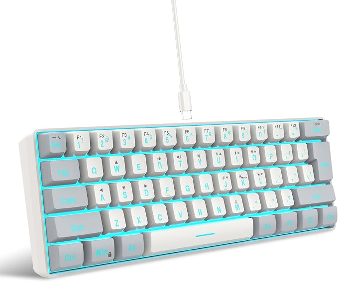 Snpurdiri 60% Wired Gaming Keyboard, 61 Keys RGB (Grey-White) | Backlit Small Gaming Keyboard for PC/Mac Gamer, Typist, Travel, Easy to Carry on Business Trip
