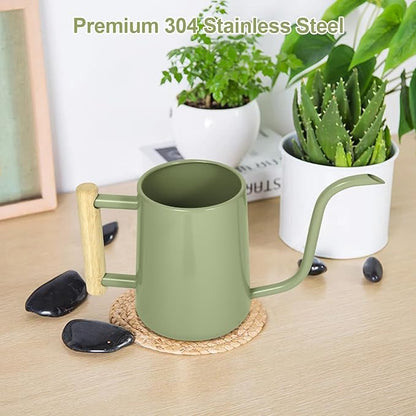 Watering Can Indoor Plants, 35 oz/1000 ml Metal Stainless Steel Watering Can Pot with Long Spout for Indoor House Plants Bonsai Outdoor Garden Flower Decorative (Sage Green)