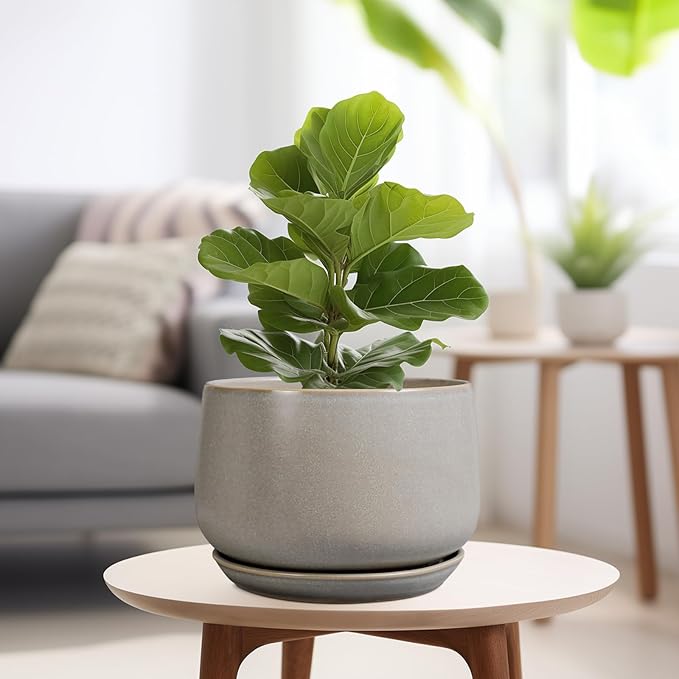 G EPGardening Ceramic Planter 9 Inch - Round Modern Plant Pots with Drainage and Plant Saucer Indoor Outdoor for Flower, Vanity Decor, House Gifts, Retro Grey