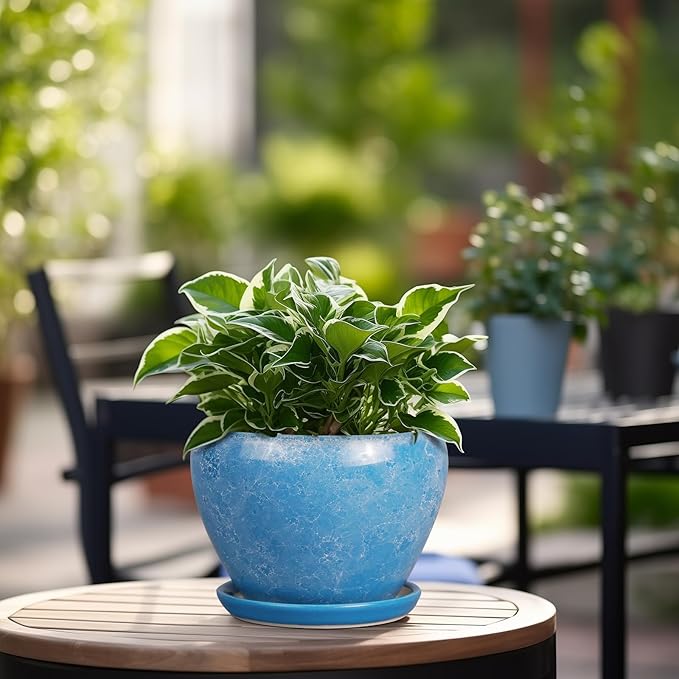 6 Inch Plant Pot - Ceramic Planter Pot with Drainage Hole and Saucer, Glaze Succulent Pot Modern Round Flower Pot for Indoor Plants, Blue