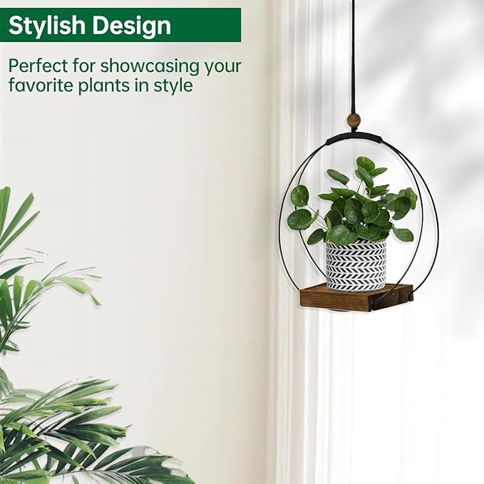 4 Pack Hanging Planters for Indoor Plants,Plant Hanger with Sturdy Wood Base,Modern Boho Macrame Plant Hanger,Wall Ceiling Window Stands(Plants/Pots Not Included)