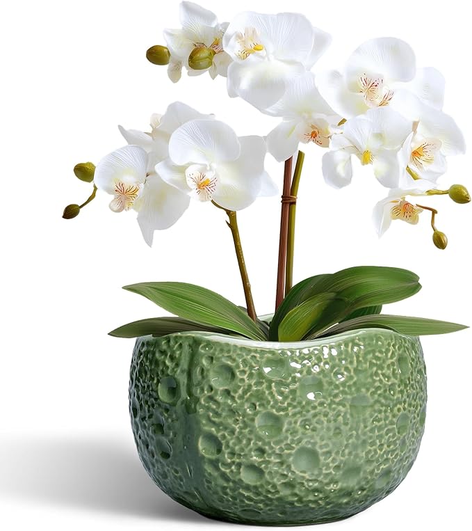 6 Inch Plant Pot - Orchid Pot with Drainage Hole, Ceramic Planter for Indoor Outdoor, Decorative Plant Pots, Modern Round Unique Flower Pots, Living Room Decor, Gifts for Women Men, Green