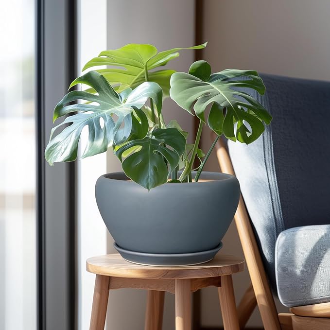 Ceramic Plant Pot - 11 Inch Planter for Indoor Plants Large Plant Pot with Drainage Hole and Saucer Round Outdoor Planter Modern Flower Pot for Home Decor Gray
