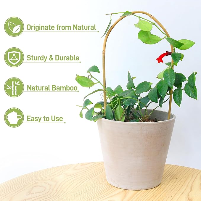 Avalution 16" Natural Bamboo Plants Trellis U-Hoop,Bamboo Gaeden Trellis U-Shape for Climbing Plant Support-10PCS