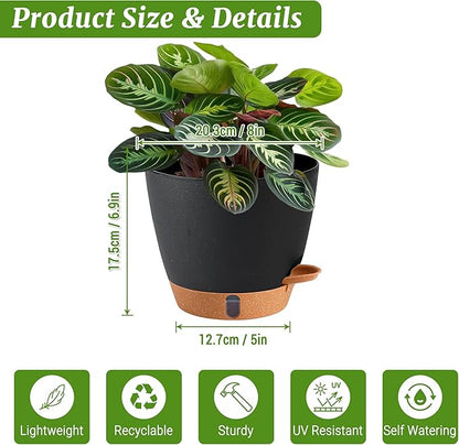 2 Pack 8 Inch Pots for Plants Indoor, Plastic Self Watering Planters with Drainage Holes, Water Level Indicator & Deep Reservoir, Decorative Flower Pots Indoor Outdoor Use (Black
