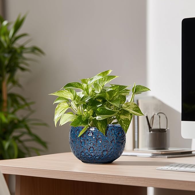 6 Inch Plant Pot - Ceramic Pots for Plants with Drainage Hole, Round Orchid Pot, Unique Planter for Indoor Outdoor, Modern Decorative Flower Pots, Room Decor, Plant Lovers Gifts, Retro Blue