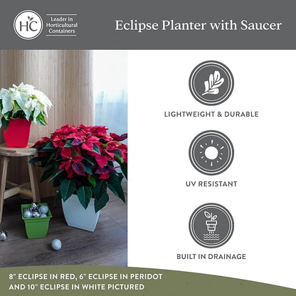 The HC Companies 12 Inch Eclipse Square Planter Pots with Drainage Holes & Attached Saucer, Lightweight UV-Resistant Plastic Indoor Outdoor Planters, 2-Pack Flower Pots for Garden & Home Decor, Rose