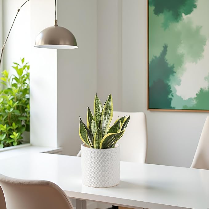 Docrin Ceramic Planters Indoor, 8 Inch Plant Pot with Drainage Holes for Home/Office - White Honeycomb