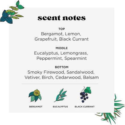 Poo-Pourri Before-You-Go Toilet Spray, Royal Flush, Travel Size 10 mL - Eucalyptus and Spearmint (Pack of 2)