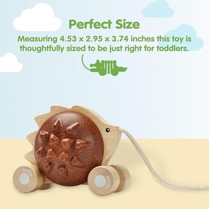 PlanToys® Wooden Pull Along Hedgehog | Montessori Pull Toy for Toddlers | Walking Toy with Sound, Early Learning, Balance & Coordination | Eco Friendly Wooden Toy