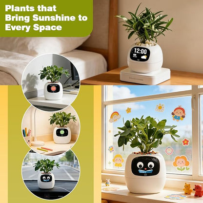 Smart Plant Pot with Visual Display – Soil Moisture, Water Level, Light & Battery Monitor, 80ml Self-Watering Reservoir, Supports 50+ Plants, Pomodoro Timer, Clock & Calendar (White)