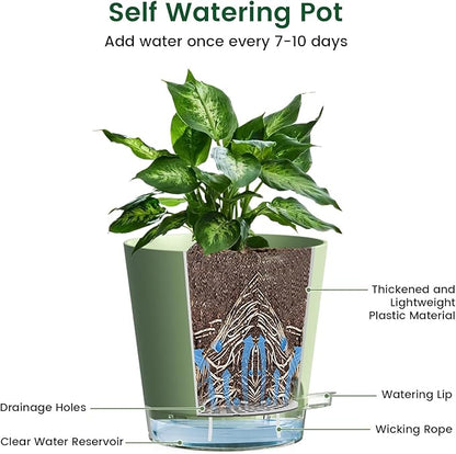 6 inch Self Watering Pots for Indoor Outdoor Plants, 6 Pack Flower Plant Pots with Drainage Holes and Clear Reservoirs, Visible Water Level, Plastic Planters with Wicking Rope, Green