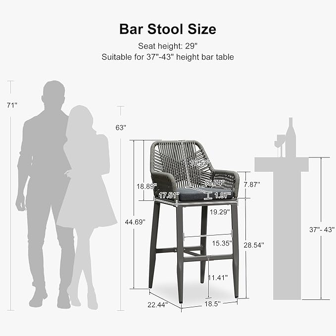 PURPLE LEAF Outdoor Wicker 29" Bar Stools Set of 2, Boho Patio Bar Height Chair with Cushion and Back for Outdoor and Indoor, Garden, Patio, Smoke Grey