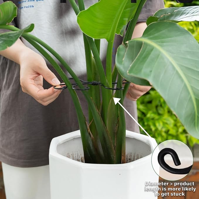 Black Monstera Plant Support Hook - 6.5 * 6.5IN -5 Piece Set, Durable Metal Stem Supports for Indoor Plants, Leaf Holder & Fishbone Cactus Stake, Stylish Design for Healthy Growth & Easy Care