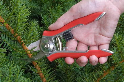 Dramm Bypass Pruner, Cut up to 5/8-inch in diameter, Stainless Steel Blade, Green