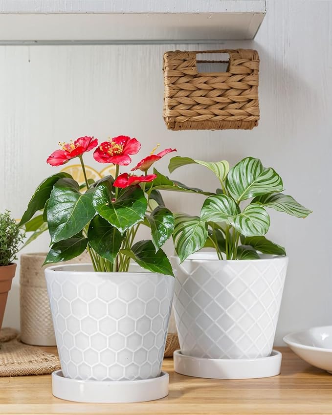 EFISPSS Flower Planter –5 inch Ceramic Plant Pots with Drainage Holes and Ceramic Tray - Gardening Home Desktop Office Windowsill Decoration Gift Set of 4 - Plants NOT Included (White)