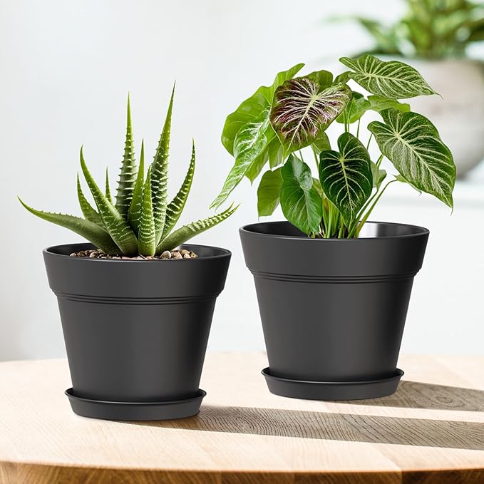 6 Inch Thick Plastic Plant Pots with Drainage Holes and Trays – 6 Pack Nursery Pots for Indoor & Outdoor House Plants, Seedling Starter Planters for Garden Flowers, Matte Black
