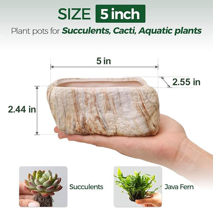 T4U 5.5 Inch Ceramic Succulent Pot Planter with Drainage Hole Set of 3, Stone Shape Rectangle Window Box Cactus Plant Containers Gift for Mom Sister Aunt Best for Home Office Table Desk Decoration