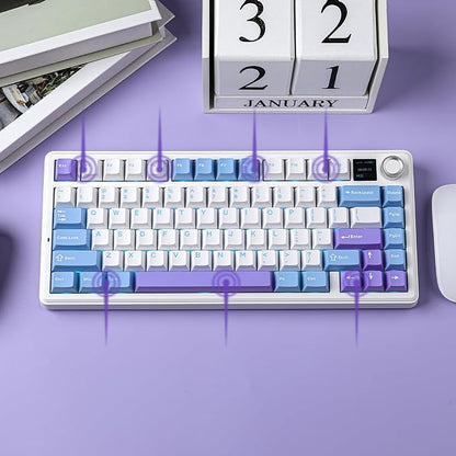 EPOMAKER X Aula F75 MAX Wireless Mechanical Keyboard with TFT Screen and Knob, Gasket Gaming Keyboard in 75% Layout, Hot Swappable, RGB Backlight, for PC/Mac/Linux (Blue&White&Purple)