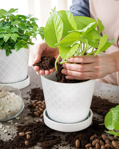 EFISPSS Flower Planter –5 inch Ceramic Plant Pots with Drainage Holes and Ceramic Tray - Gardening Home Desktop Office Windowsill Decoration Gift Set of 4 - Plants NOT Included (White)