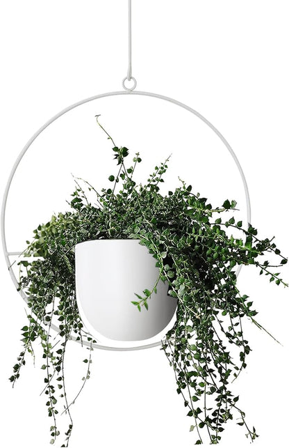Hanging Planter Indoor Modern Boho Plant Pot Metal Wall and Ceiling Plant Holder, Mid Century Minimalist Flower Pot for Hanging Plants(White)